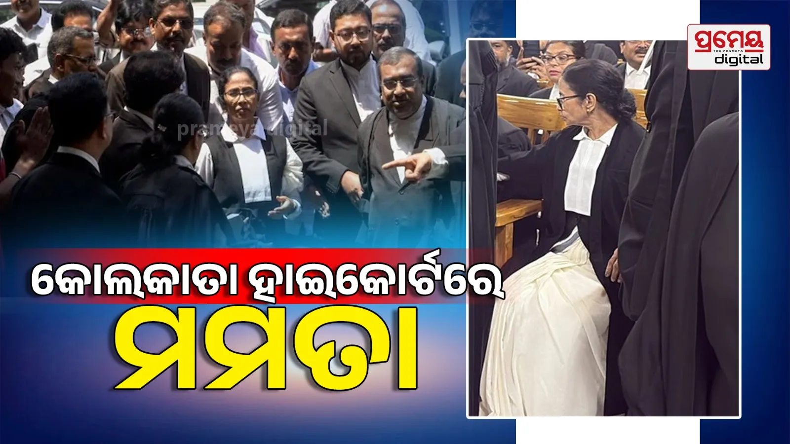 Mamata Banerjee Lawyer Look