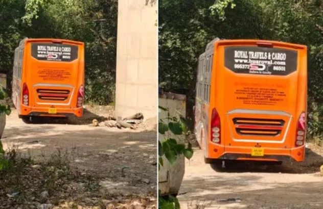 Delhi Bus Gangrape  case