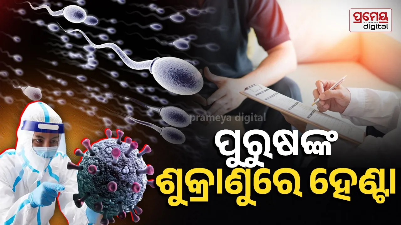 hanta virus