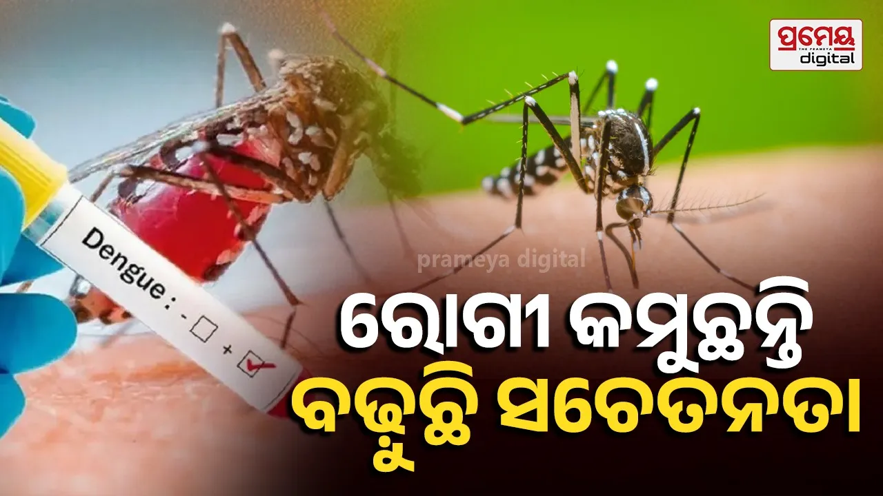 dengue