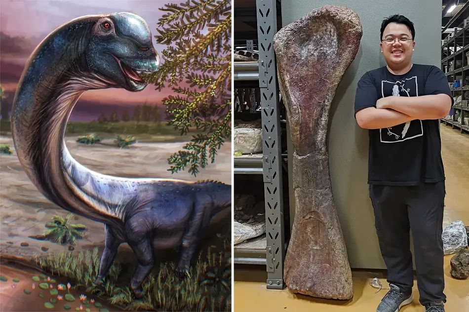 dinosaur