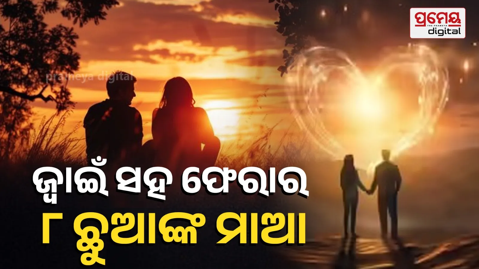 Agra Shocker: Mother of 8 Elopes with Son-in-Law, Past Crime Resurfaces After 12 Years