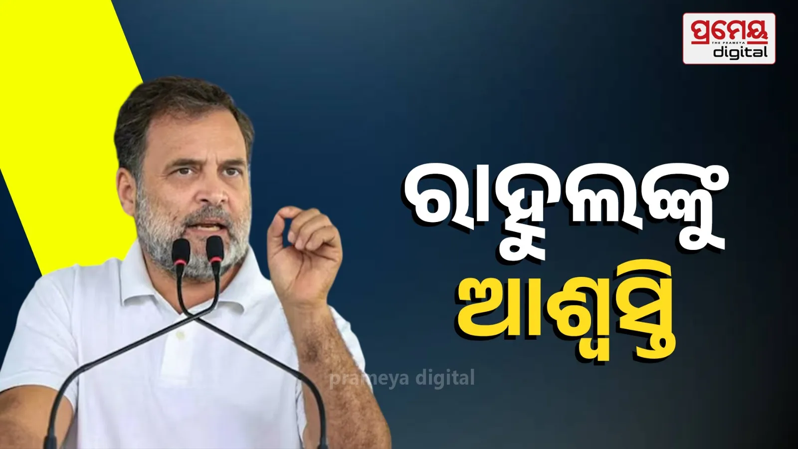 Rahul Gandhi Defamation Case: Sultanpur Court Rejects Voice Sample Plea
