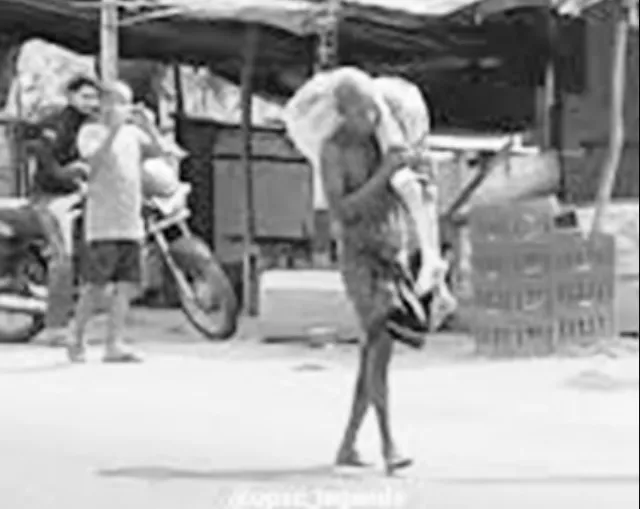 odisha 