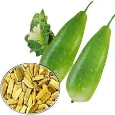 Bottle gourd seeds benefits