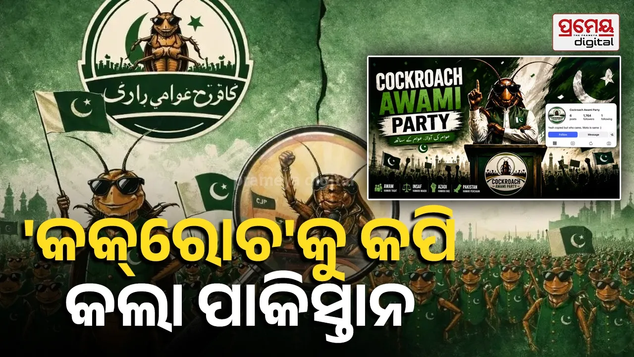 cockroach party
