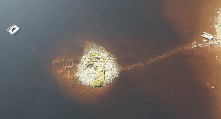 Artificial Island