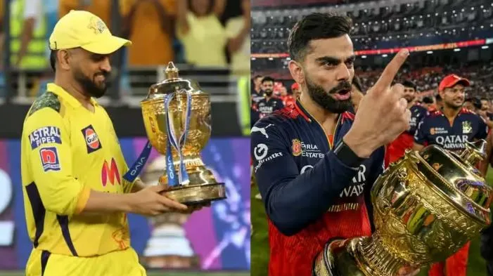 IPL Playoff History