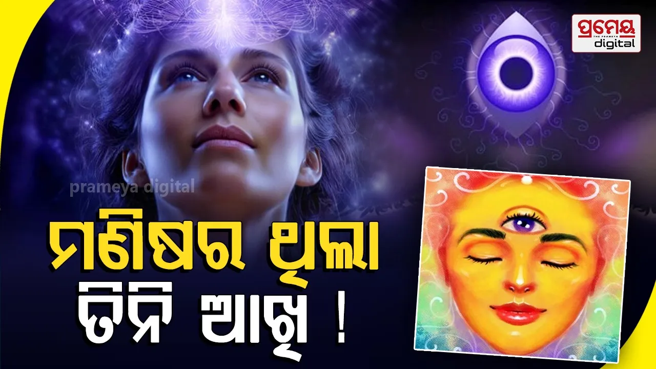 Scientists Uncover the Ancient Origin of the Human ‘Original’ Third Eye