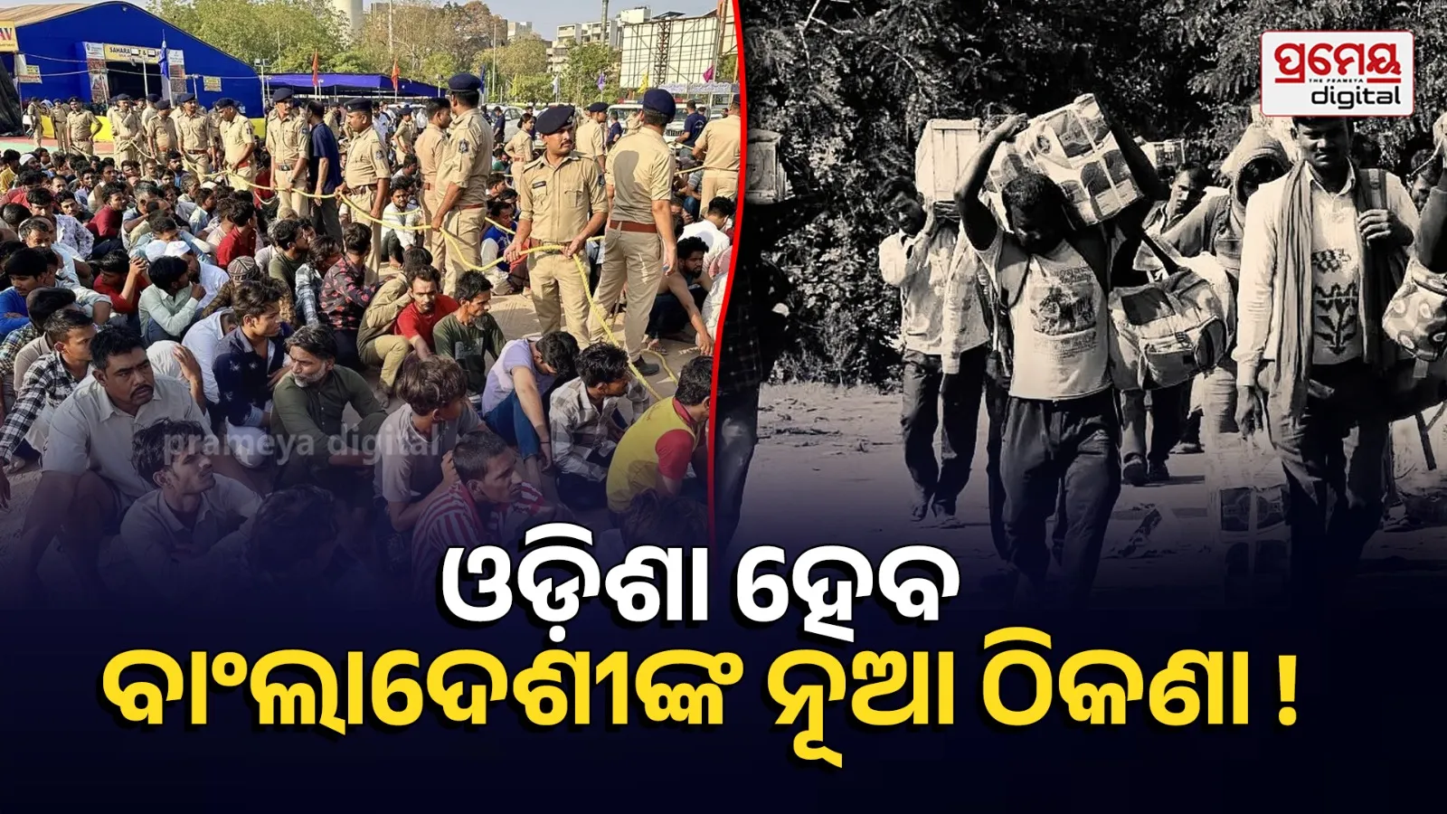 angladeshi Infiltration