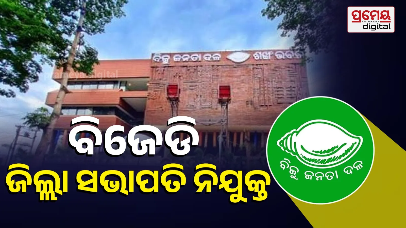 bjd