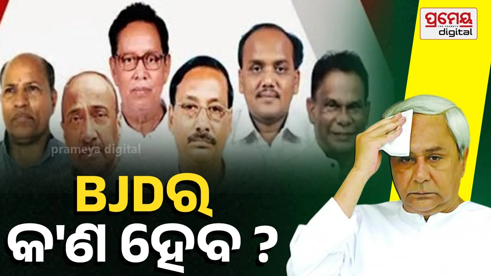 bjd