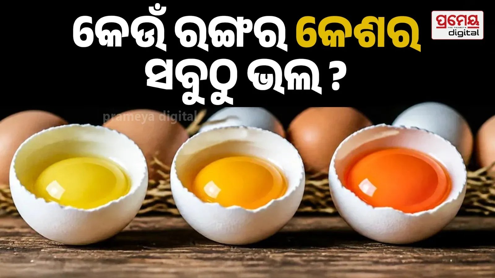 egg