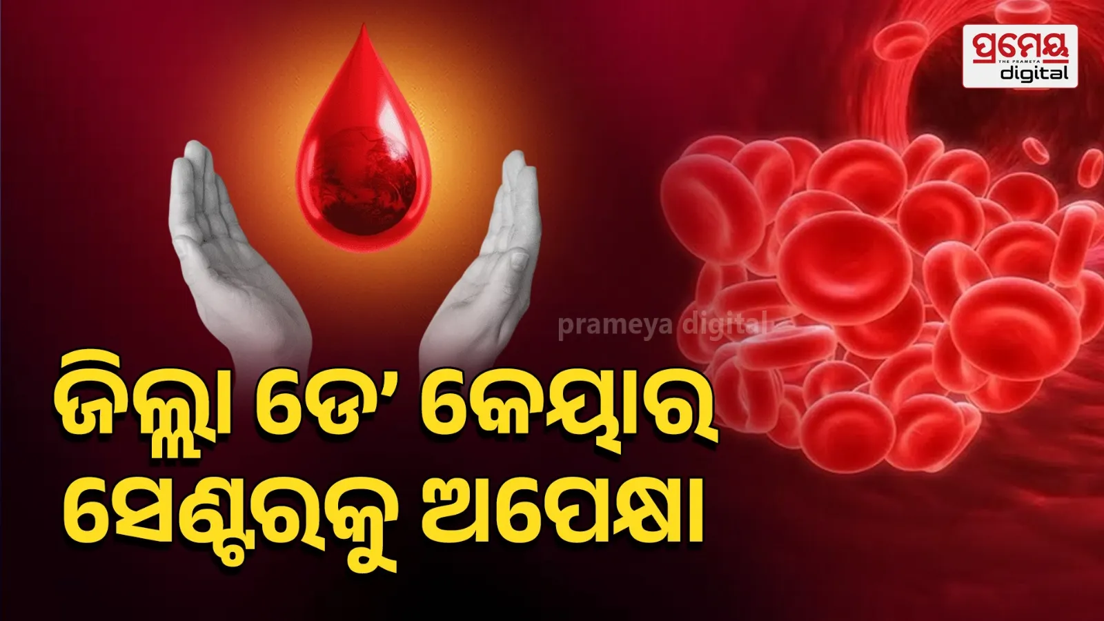 World Thalassemia Day 