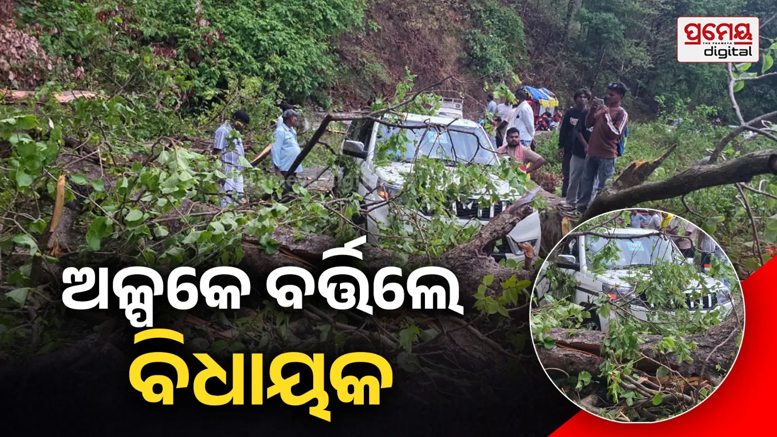 Chitrakonda MLA Mangu Khila Escapes Major Accident After Tree Falls on Vehicle