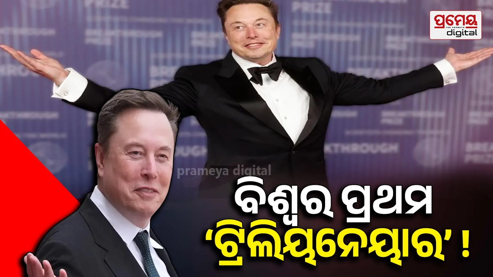 Elon Musk net worth
