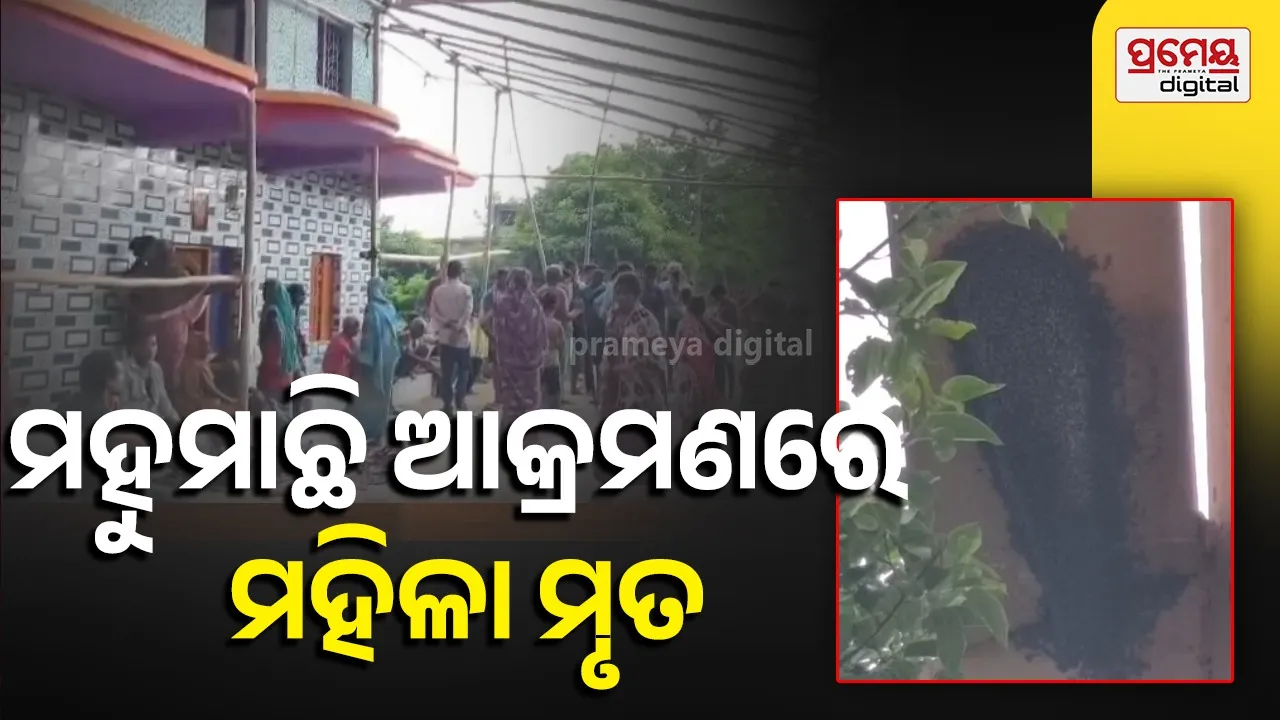 Bhadrak honeybee attack