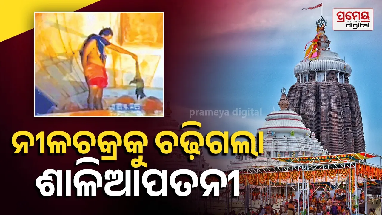 puri  