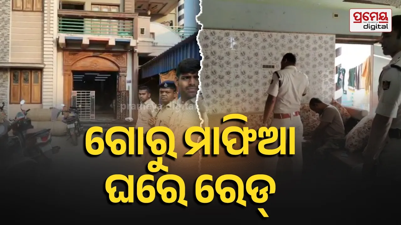 Jaleswar cattle mafia