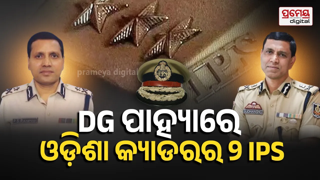 dgp