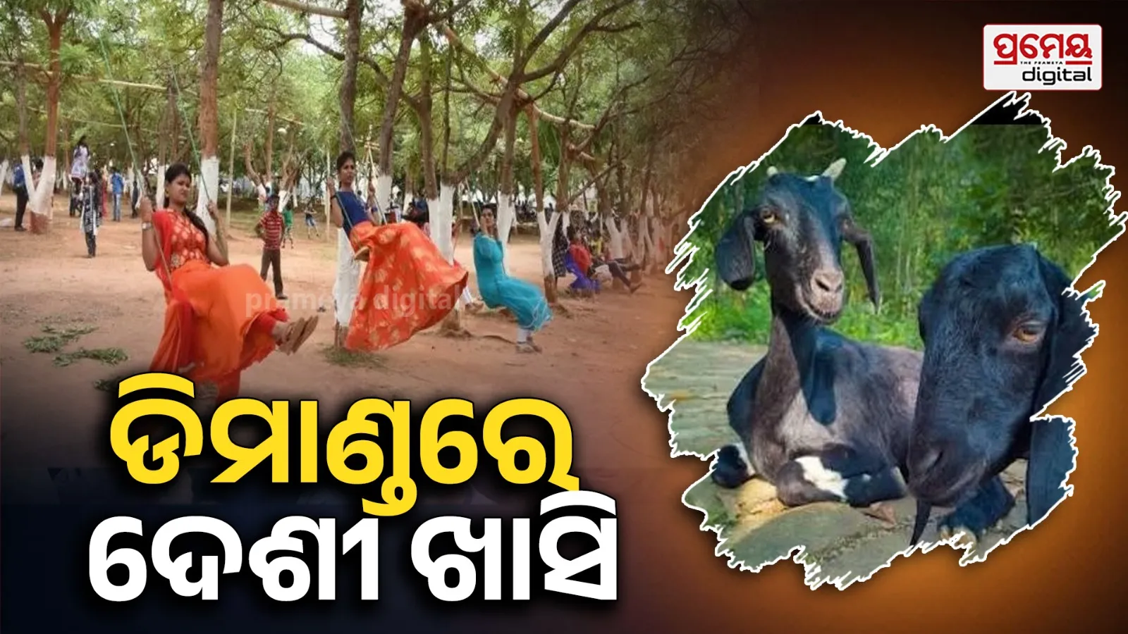 Raja festival: ରଜରେ ଜମିବ ଆମିଷ ବେପାର, ଦେଶୀ ଖାସି ଡିମାଣ୍ଡ ବଢ଼ିଥିବାରୁ ଦର ବଢ଼ିବ