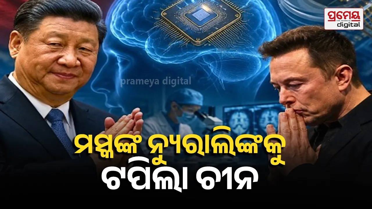 brain chip