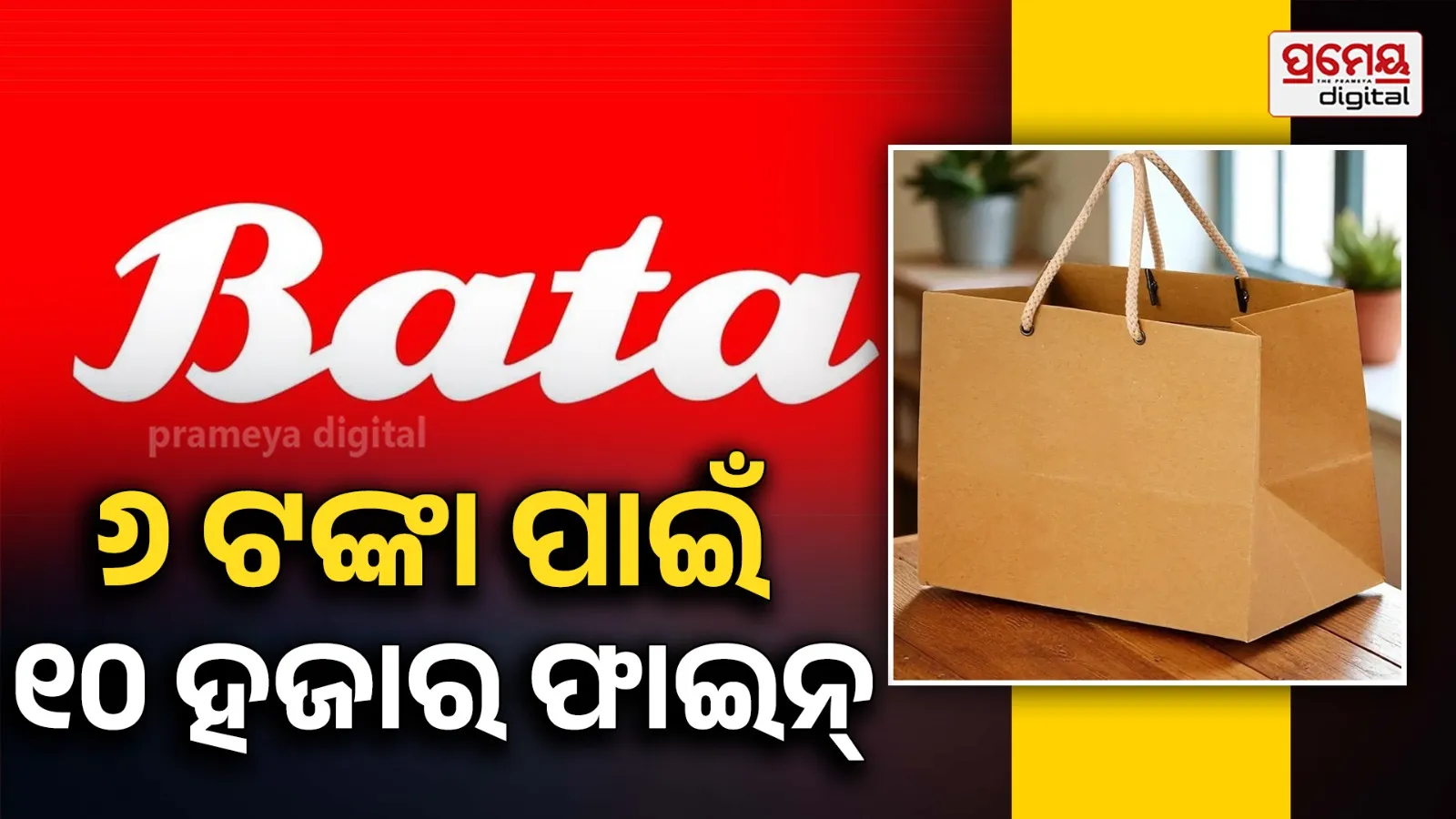 Bata ₹6 carry bag case