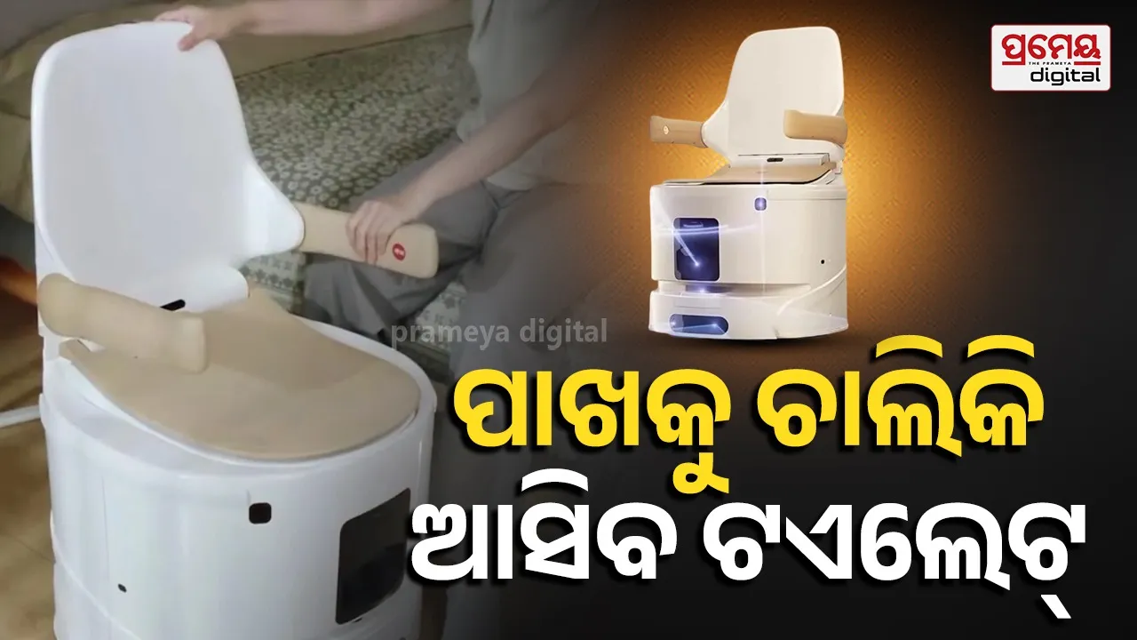 Robot toilet