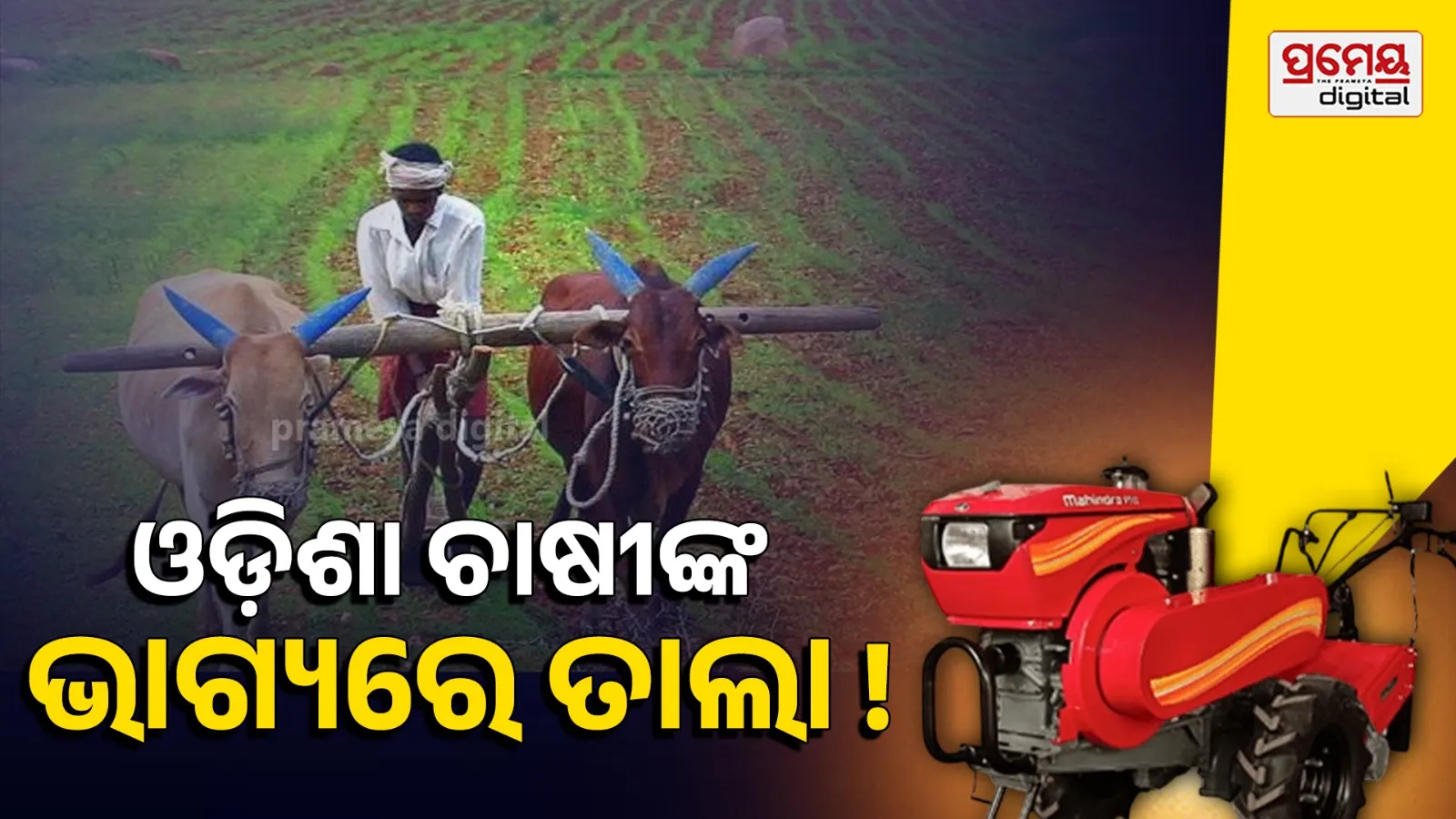 Anandapur farmers