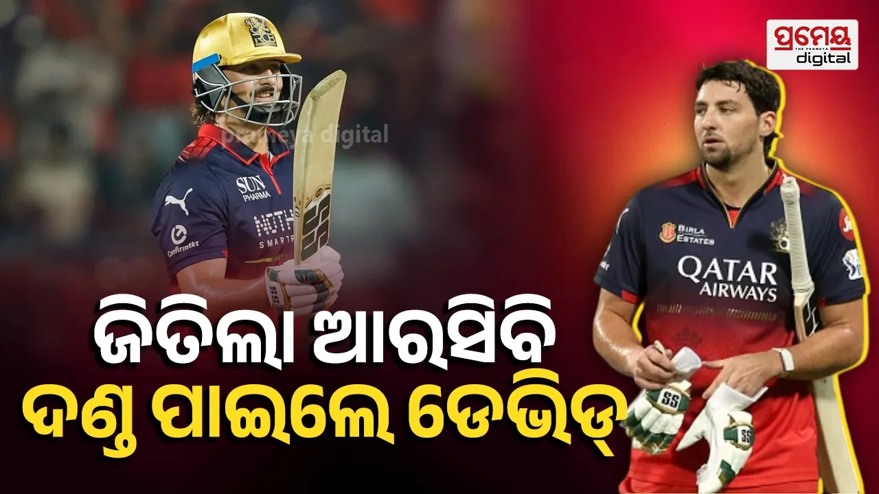 RCB Player Tim David Fined
