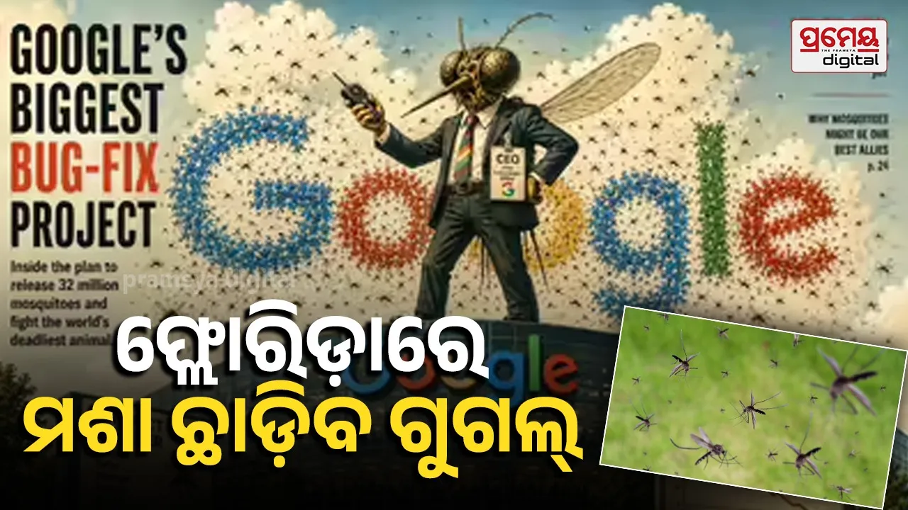 google