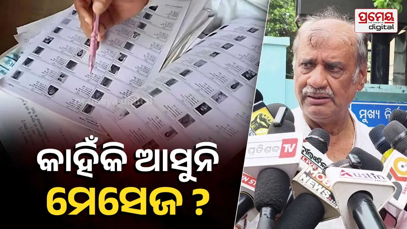 BJD team meets CEO on SIR issue