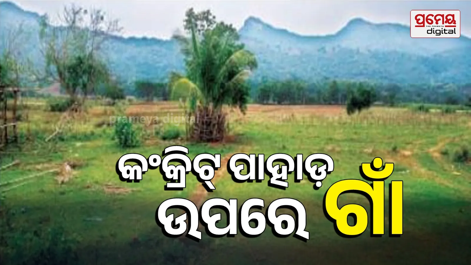 50,000 hectares of farmland disappeared