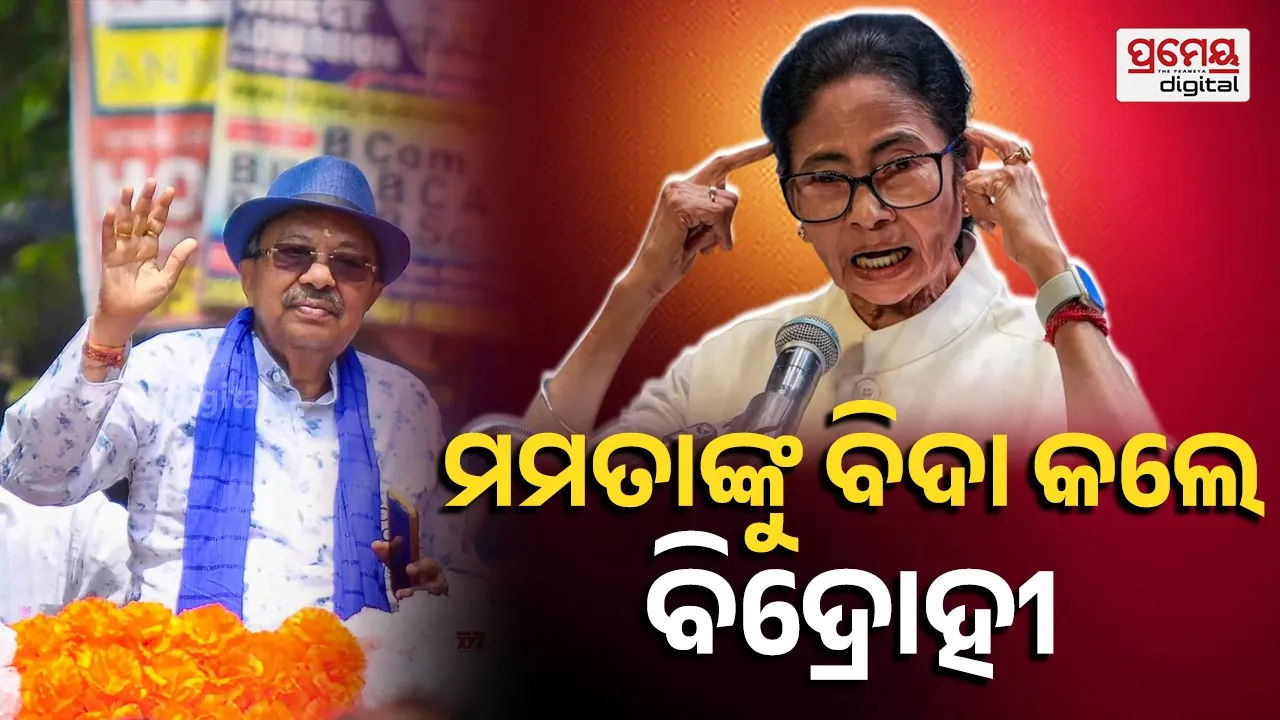 TMC MLAs replace Mamata Banerjee 