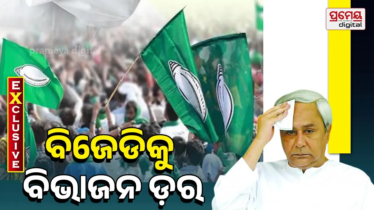 BJD