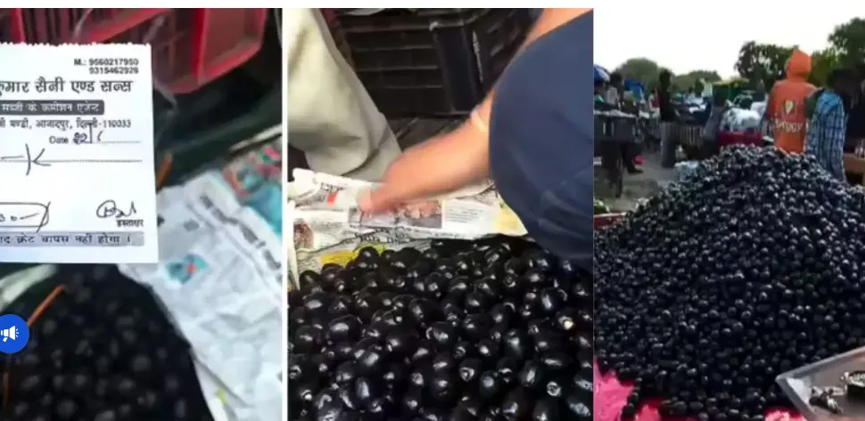 ଜାମୁକୋଳି ବିକ୍ରି ଭିଡିଓ ଭାଇରାଲ, କମେଣ୍ଟ ସେକ୍ସସନରେ ଆୟକୁ ନେଇ ଆସୁଛି ଏମିତି ପ୍ରତିକ୍ରିୟା