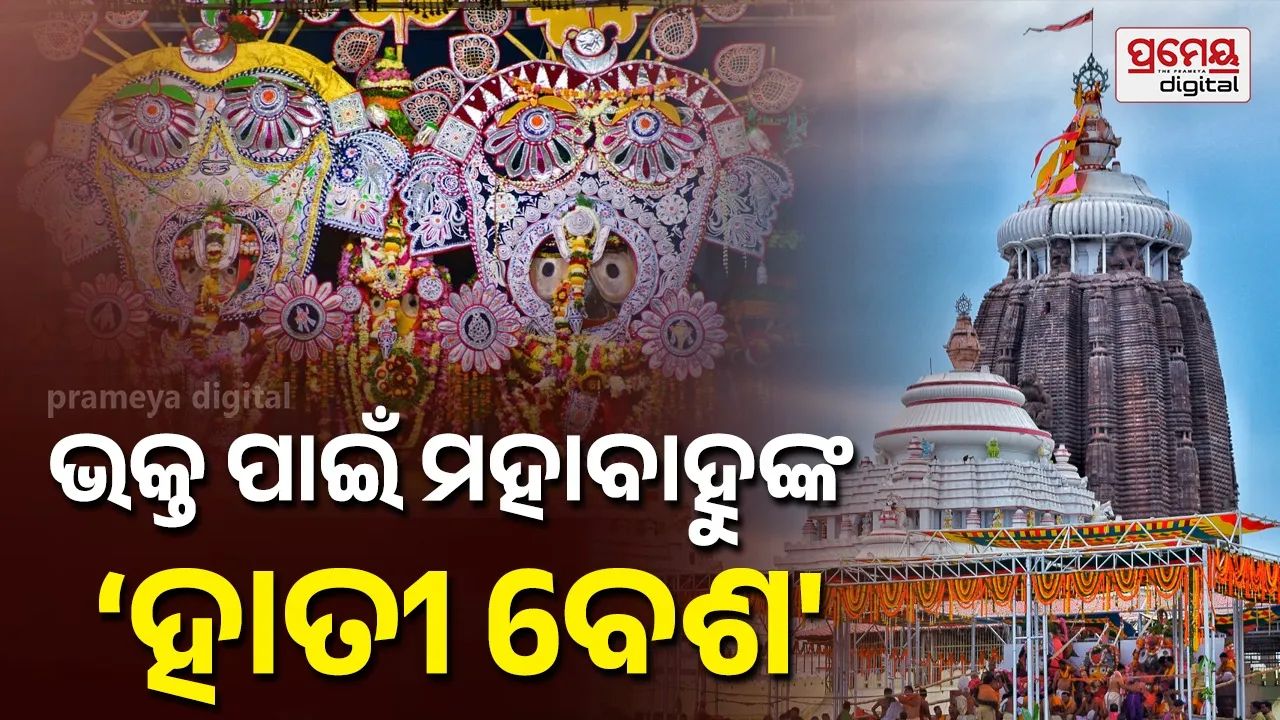 Snana Purnima: ସ୍ନାନପୂର୍ଣ୍ଣିମାରେ ମହାପ୍ରଭୁଙ୍କ ମାନବୀୟ ଲୀଳା, ଦୁର୍ଲଭ ଗଜାନନ ବେଶ ଦର୍ଶନ ଦେବେ ଦାରୁବ୍ରହ୍ମ