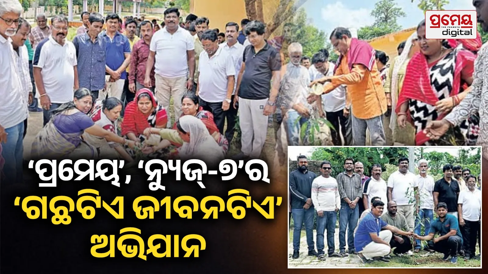 tree plantation