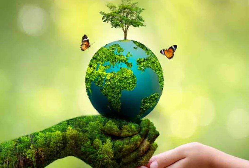 Environment Day 