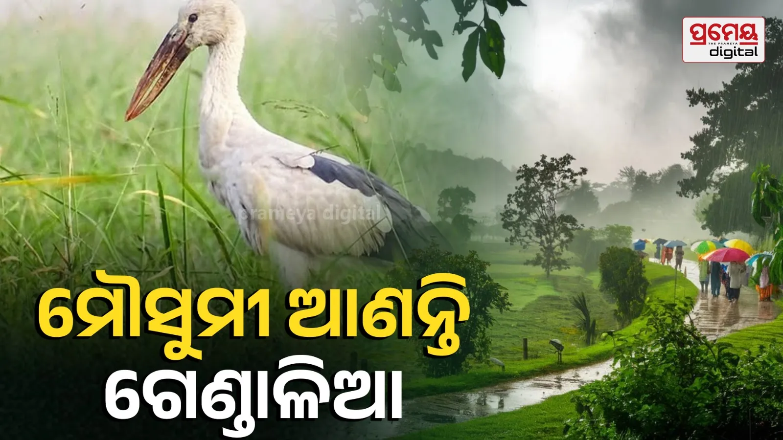 World Environment Day
