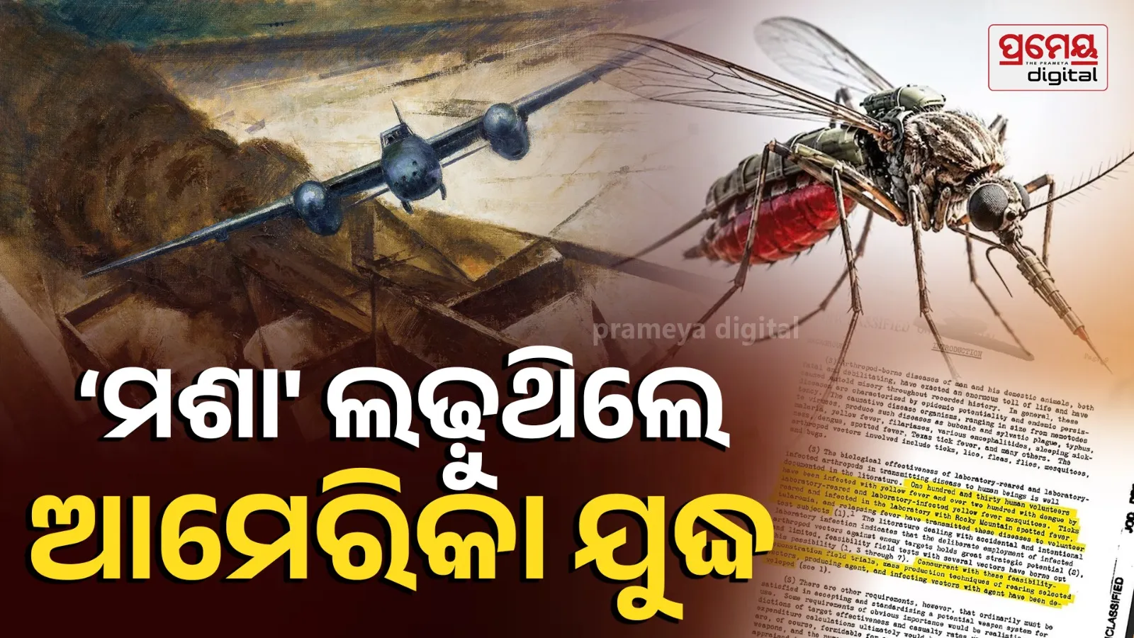 Mosquito Warfare Operation BigBuzz US Cold awar 