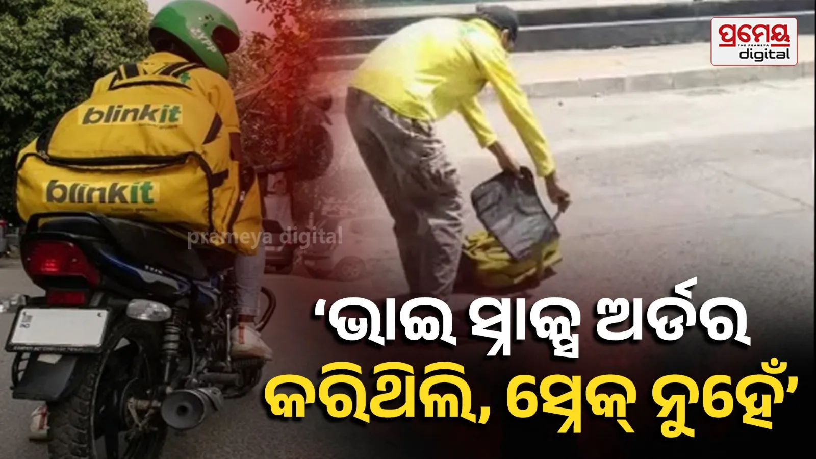 Blinkit Delivery Boy Rescues Snake, Carries It in Delivery Bag; Viral Mumbai Video Triggers Meme Fest