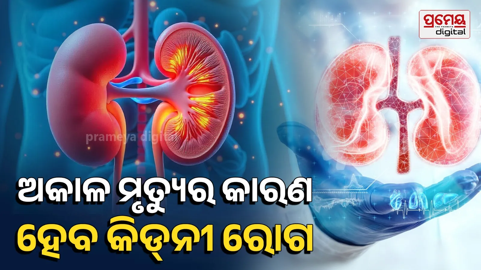 Kidney Disease