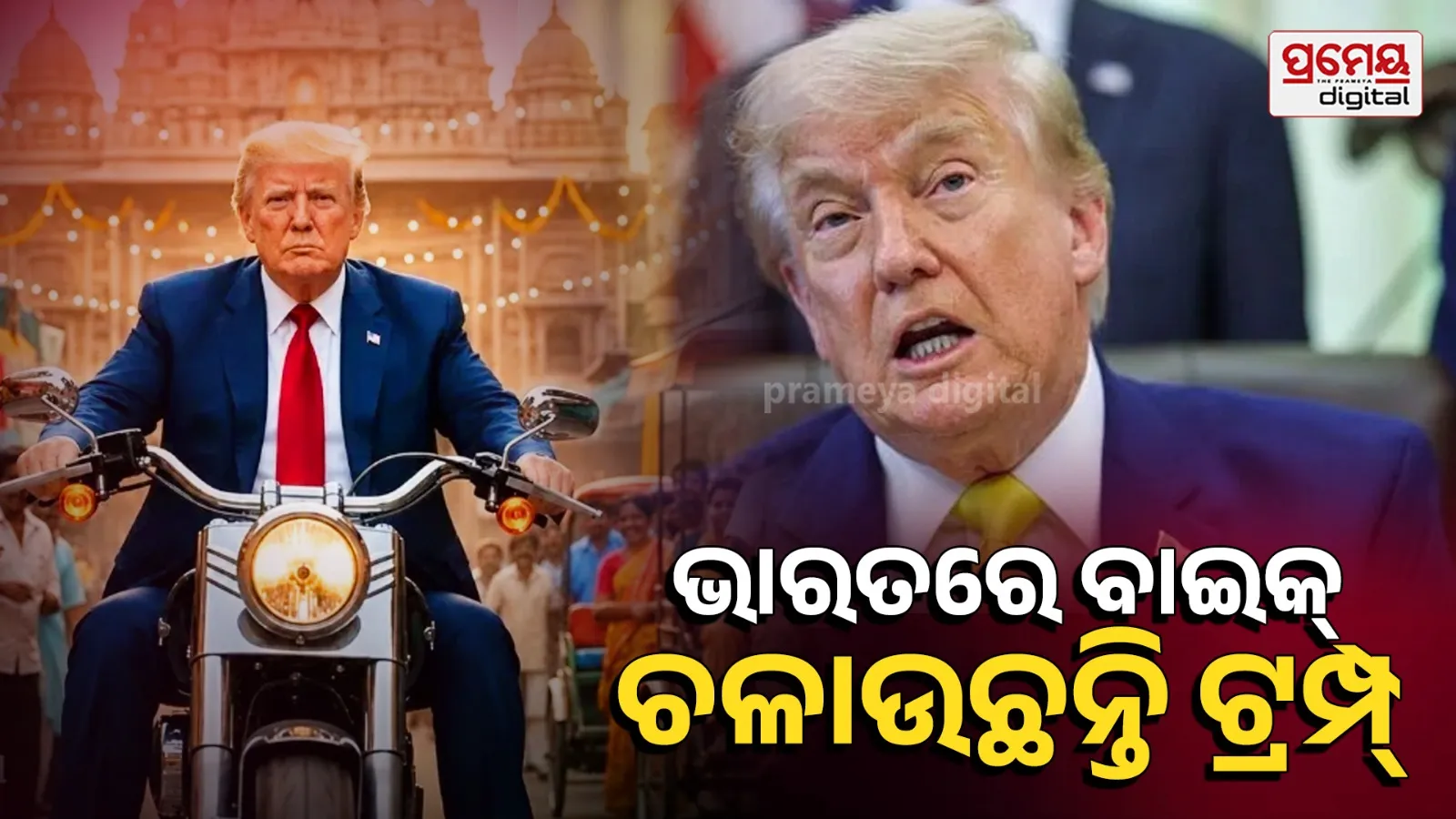 donald trump