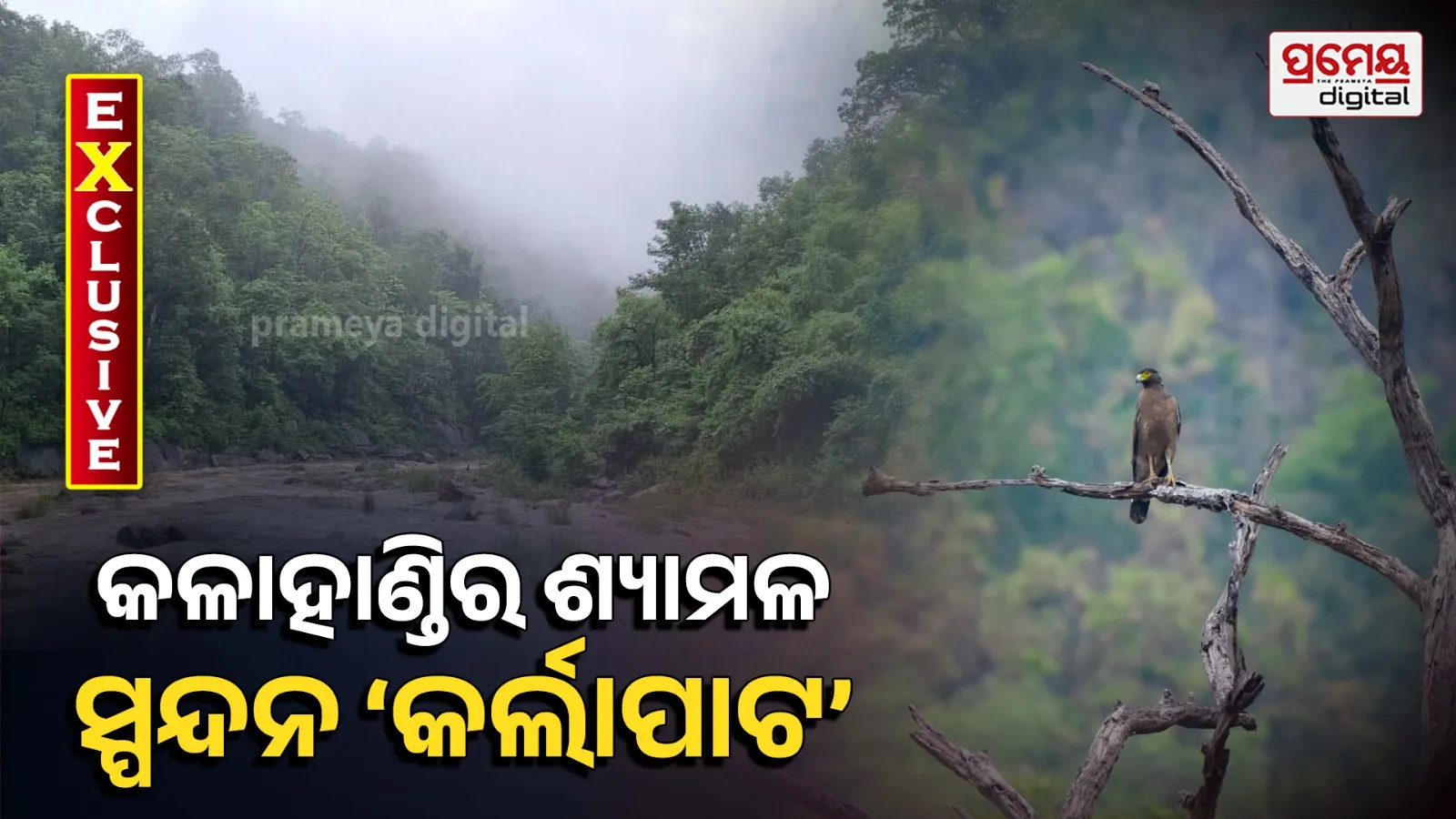 kalahandi