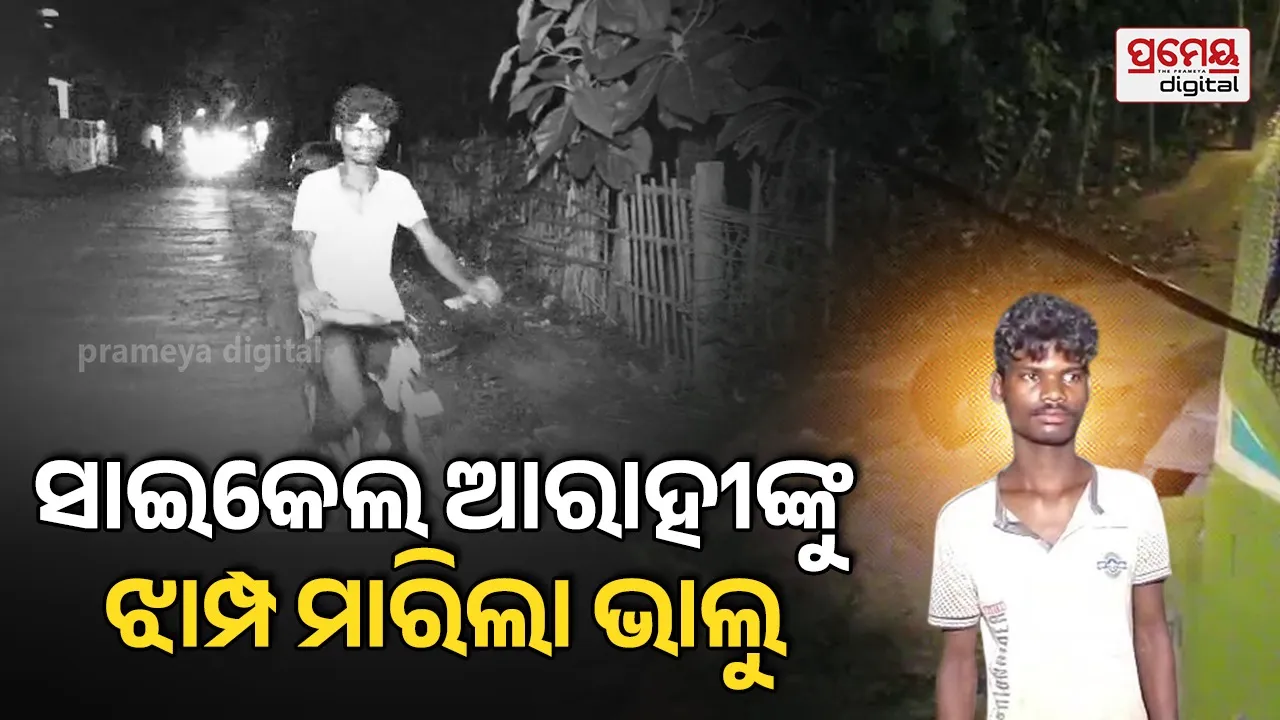 Bear Attack: ନୀଳଗିରି ସହରରେ ବୁଲୁଛି ଭାଲୁ, ସାଇକେଲ ଆରୋହୀଙ୍କୁ ଉପରକୁ ମାରିଲା ଝାମ୍ପ