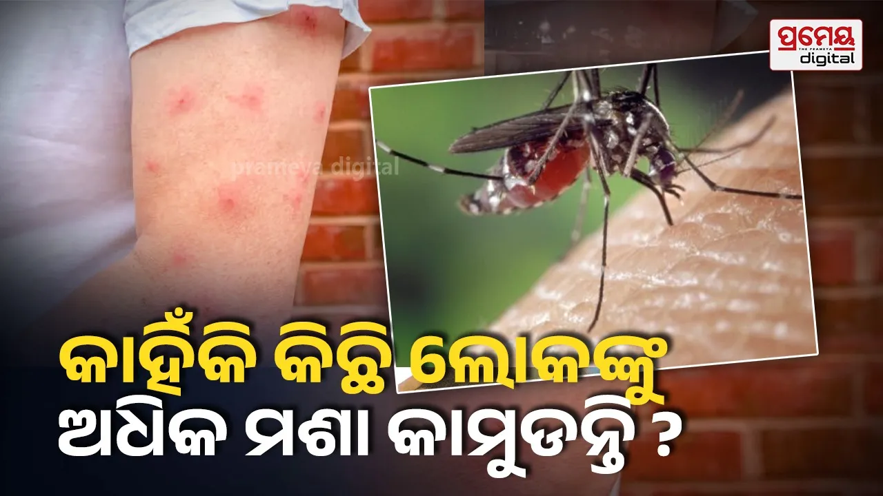 mosquito bite