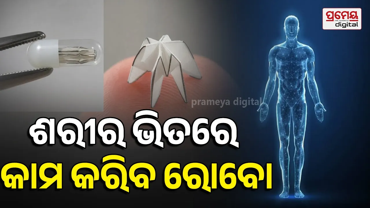 Origami robot