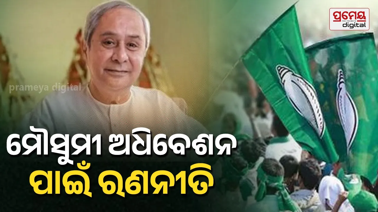 bjd