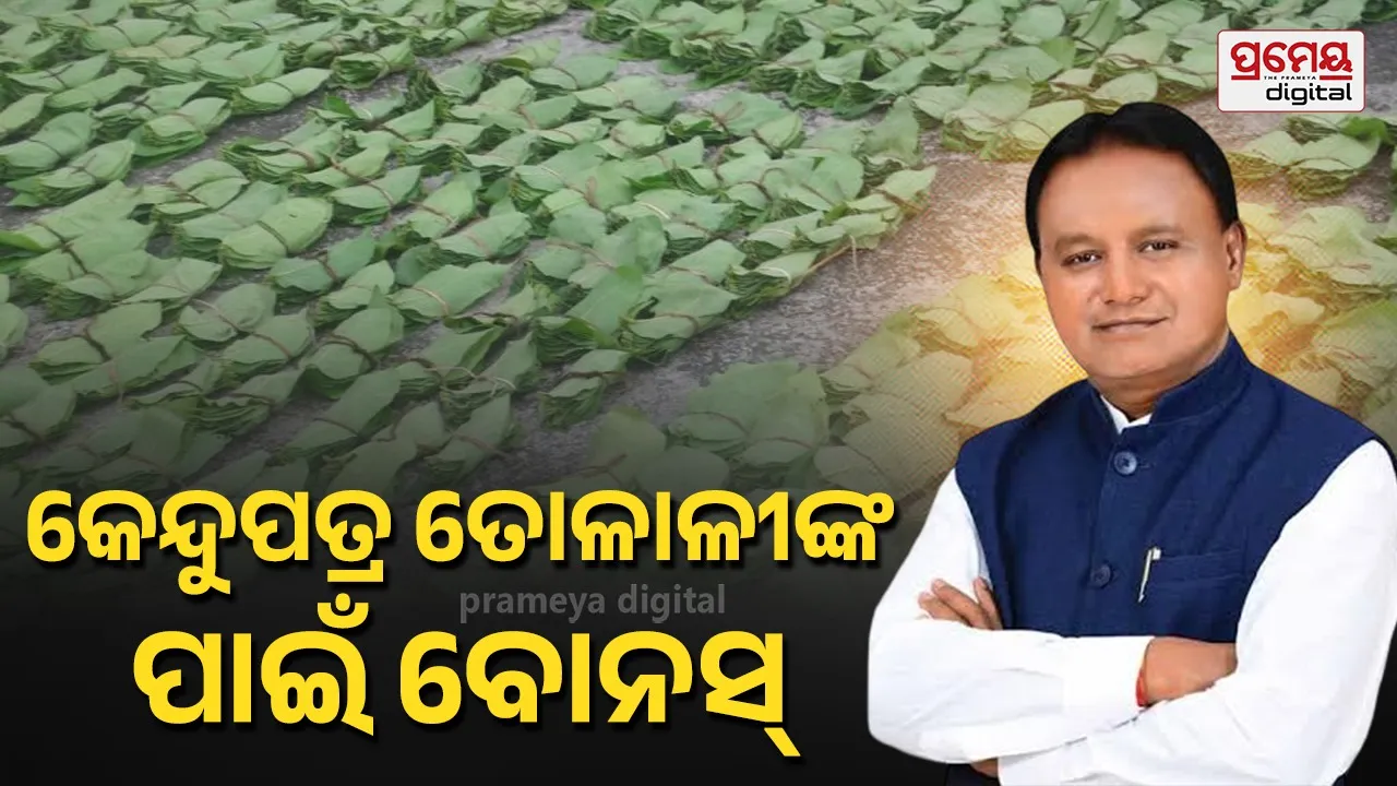 25 percent  bonus for kendu leaf pluckers